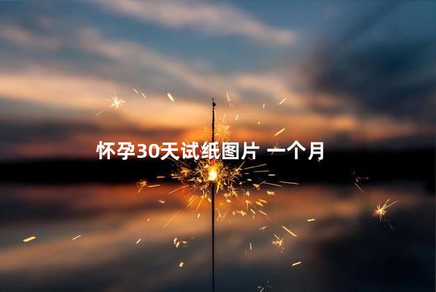 怀孕30天试纸图片 一个月